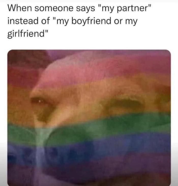 LOL Alert: 80 Memes That Prove We're All in This Crazy Together