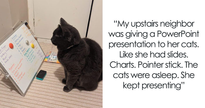 Wait, You Saw WHAT Through That Window?! 27 Wild Stories From Peeking Neighbors