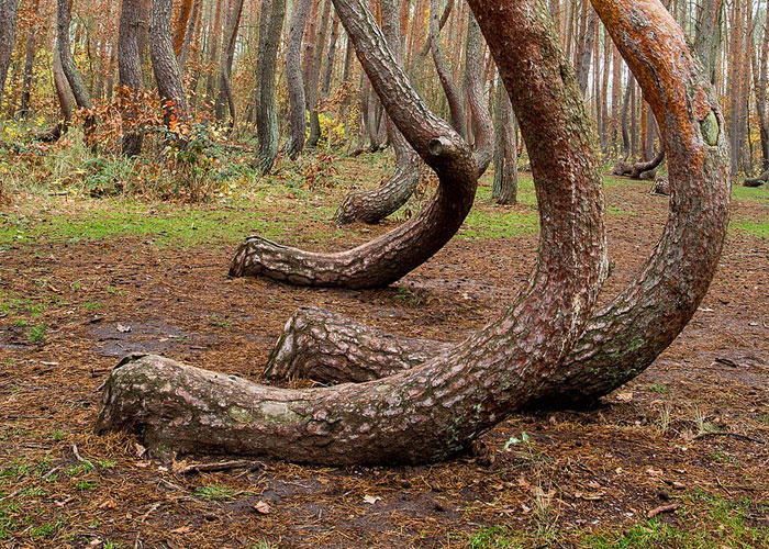 Real Places That Look Totally Fake (AI Who?)