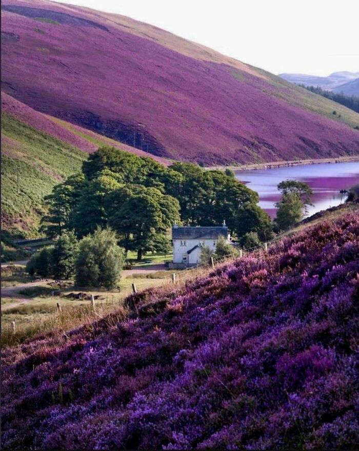 Real Places That Look Totally Fake (AI Who?)