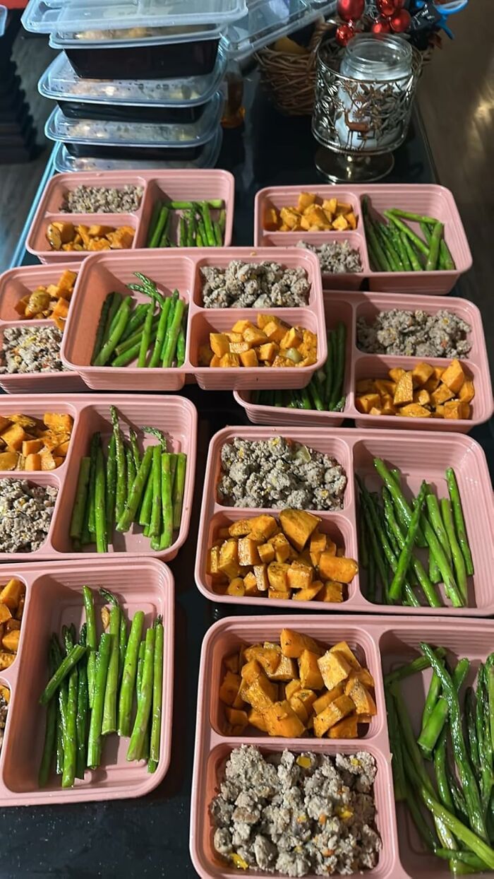 Meal Prep Containers: Look Like A Kitchen Pro Even if You’re Just Heating Nuggets