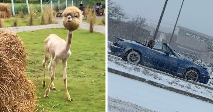 25 Photos That Totally Made Us Go ‘Wait, What?!’