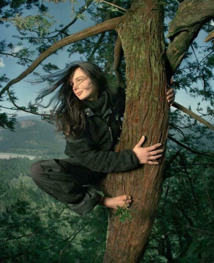 Julia Butterfly Hill Stayed 738 Days In A Redwood Tree. Tree Hugger Level: Expert
