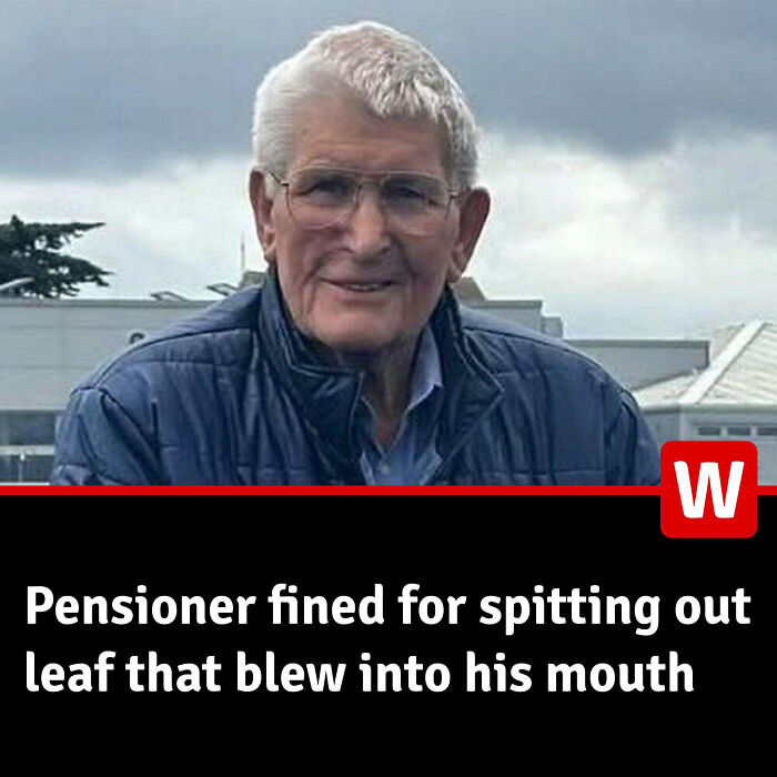 Wait, They Actually Got THIS Mad On Local News?