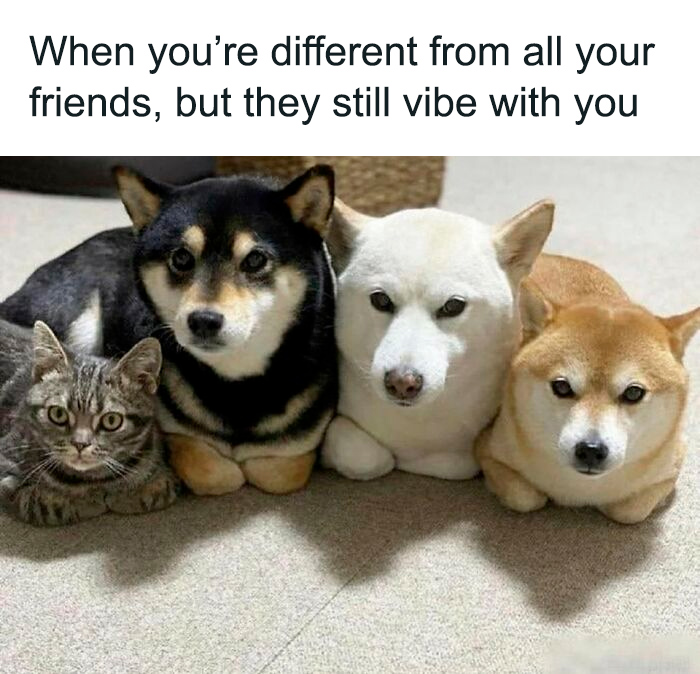 30 Pics That Will Totally Brighten Your Day (No, Really!)