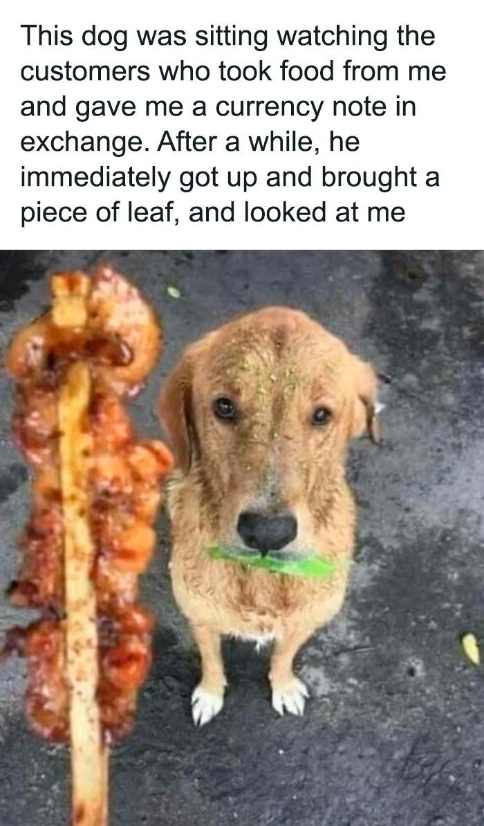 30 Pics That Will Totally Brighten Your Day (No, Really!)