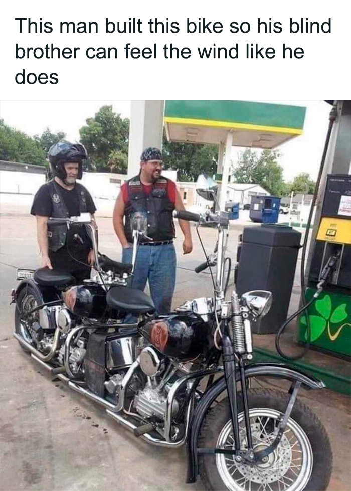 30 Pics That Will Totally Brighten Your Day (No, Really!)