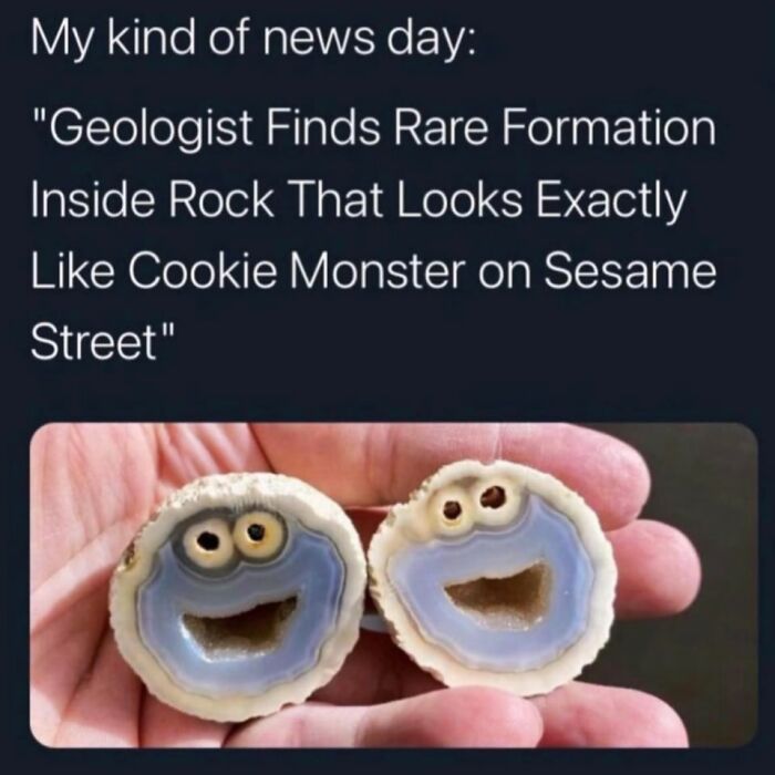 30 Pics That Will Totally Brighten Your Day (No, Really!)