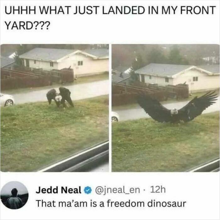 Wait, They Actually Ranked These Memes?!