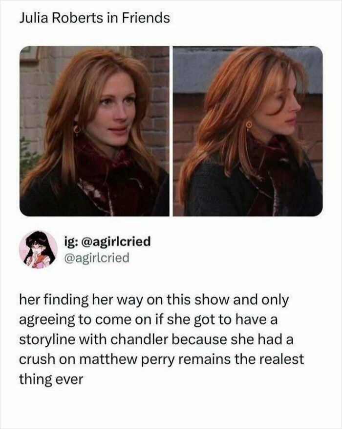 Wait, They Actually Ranked These Memes?!