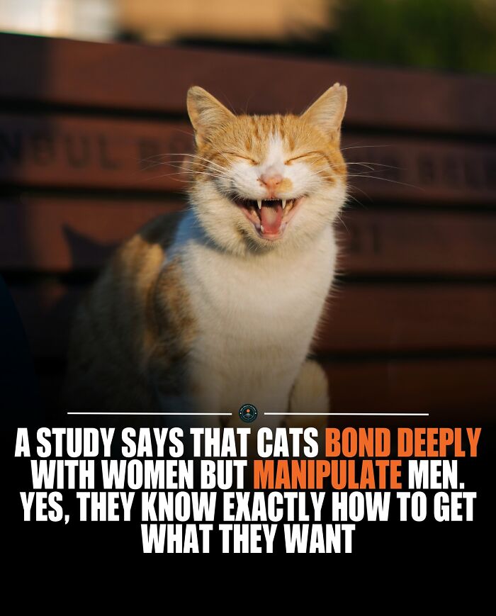 Cats Are Secretly Playing Social Games: They Charm Women but Use Tricks on Men