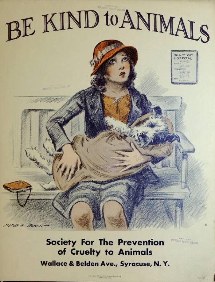 1934 Animal Protection Ad That’s Straight-Up Heartwarming
