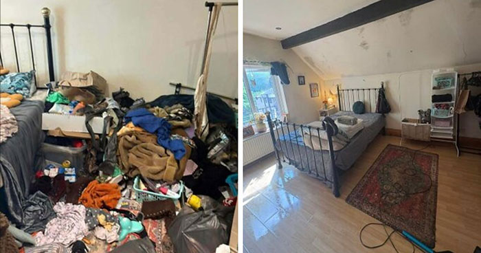 Messy Rooms to Magic Makeovers: The Wild Journey of Cleaning Up