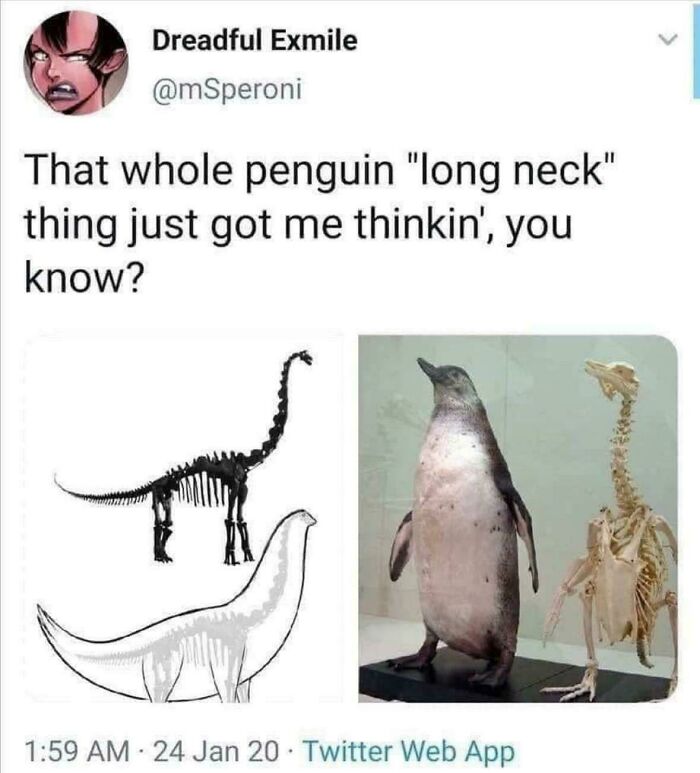 "Long Neck"