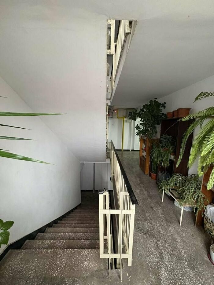 Free Botanical Garden Comes With Every Eastern European Staircase