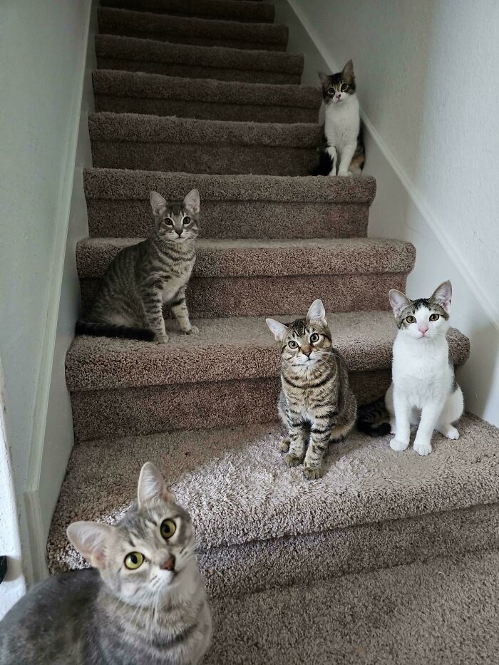 Oops! You Just Crashed the Stair Meeting