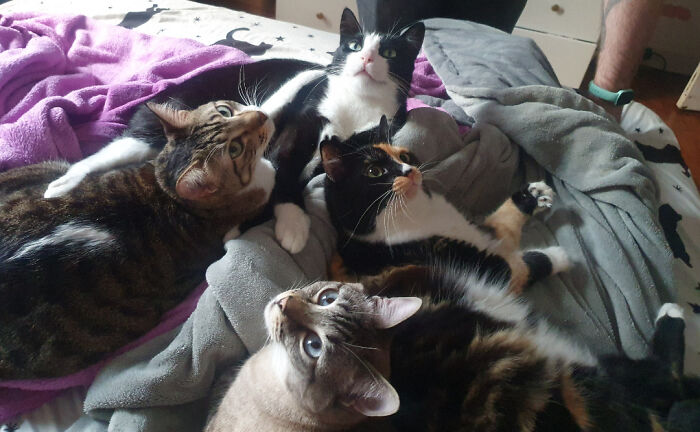 Back from a Trip and Got the Whole Council on Me