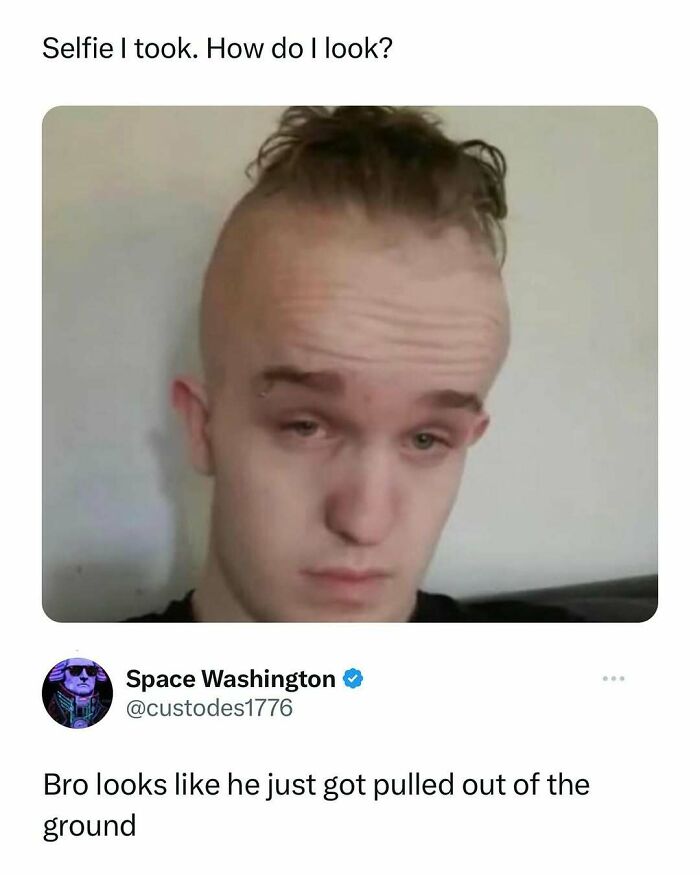 Wait, They Actually Ranked These 40 Hilarious Memes You Need Right Now