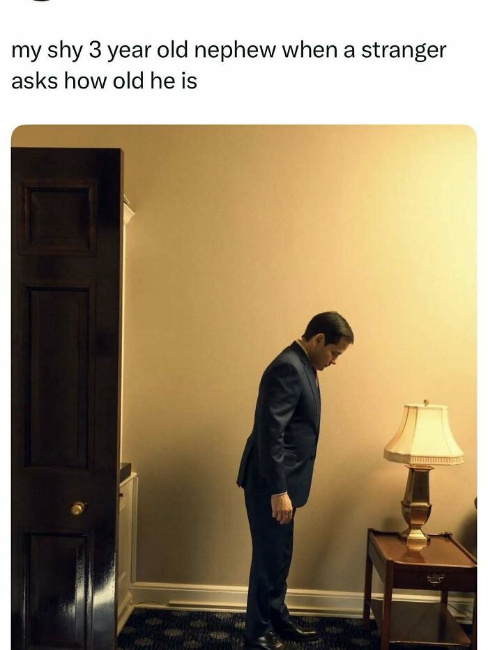 Wait, They Actually Ranked These 40 Hilarious Memes You Need Right Now