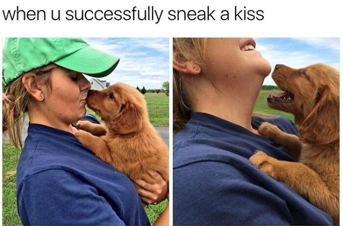 The 78 Most Adorable Dog Pics That'll Totally Melt Your Heart
