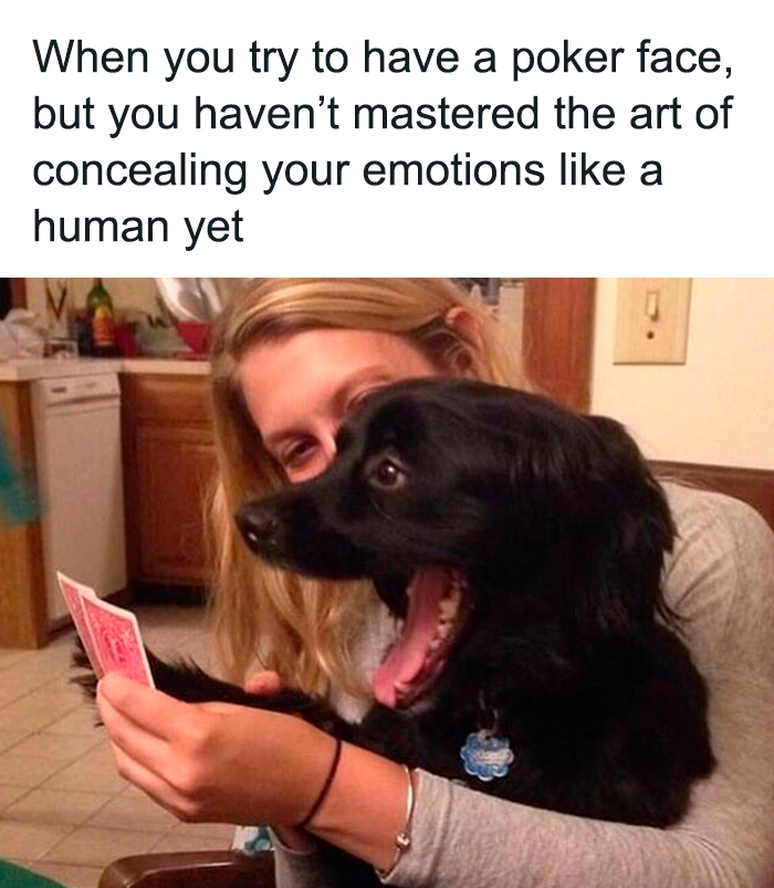 The 78 Most Adorable Dog Pics That'll Totally Melt Your Heart