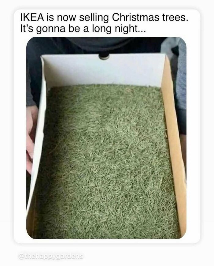 Get Ready to LOL: 118 Dad Jokes That Totally Nail the Cheese Factor