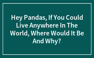 If You Could Live Anywhere, Where’s Your Dream Spot? Let’s Spill!