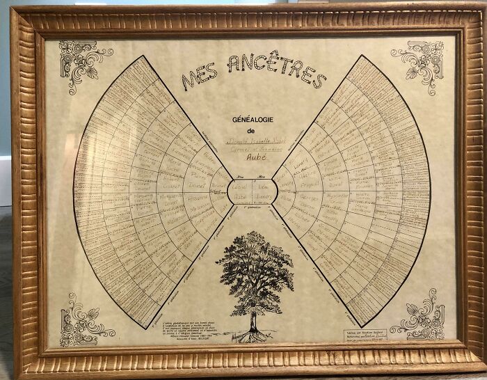Gifted My Grandma’s Almost Complete 8-Generation Family Tree. Talk About Personal