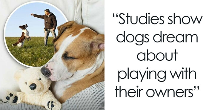 92 Wholesome Facts That’ll Totally Brighten Your Day