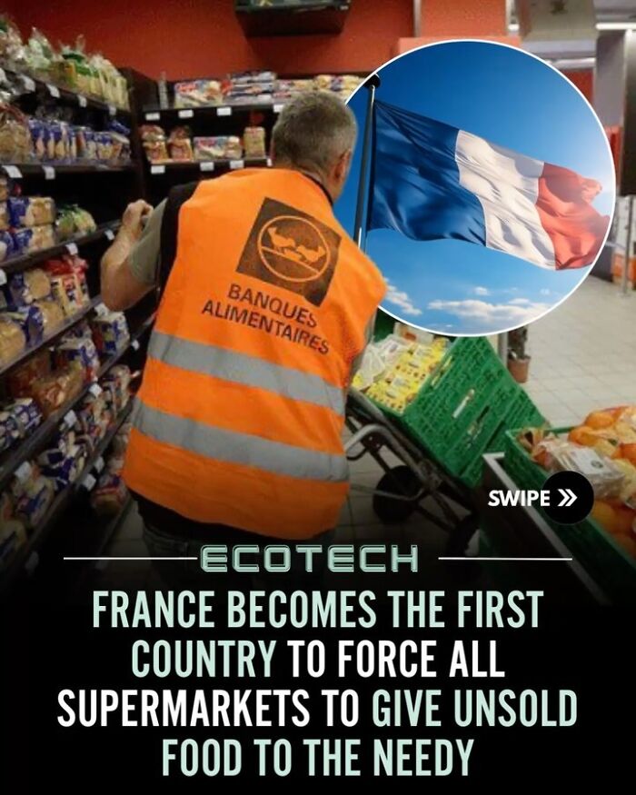 92 Wholesome Facts That’ll Totally Brighten Your Day