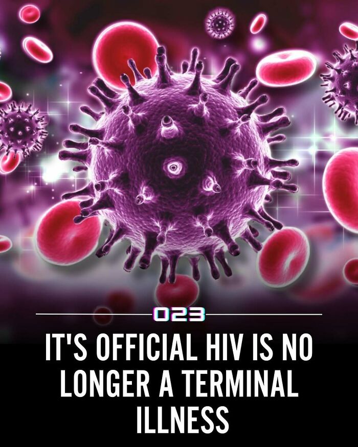 92 Wholesome Facts That’ll Totally Brighten Your Day