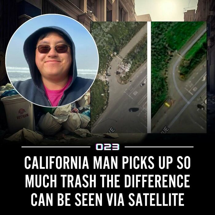 92 Wholesome Facts That’ll Totally Brighten Your Day