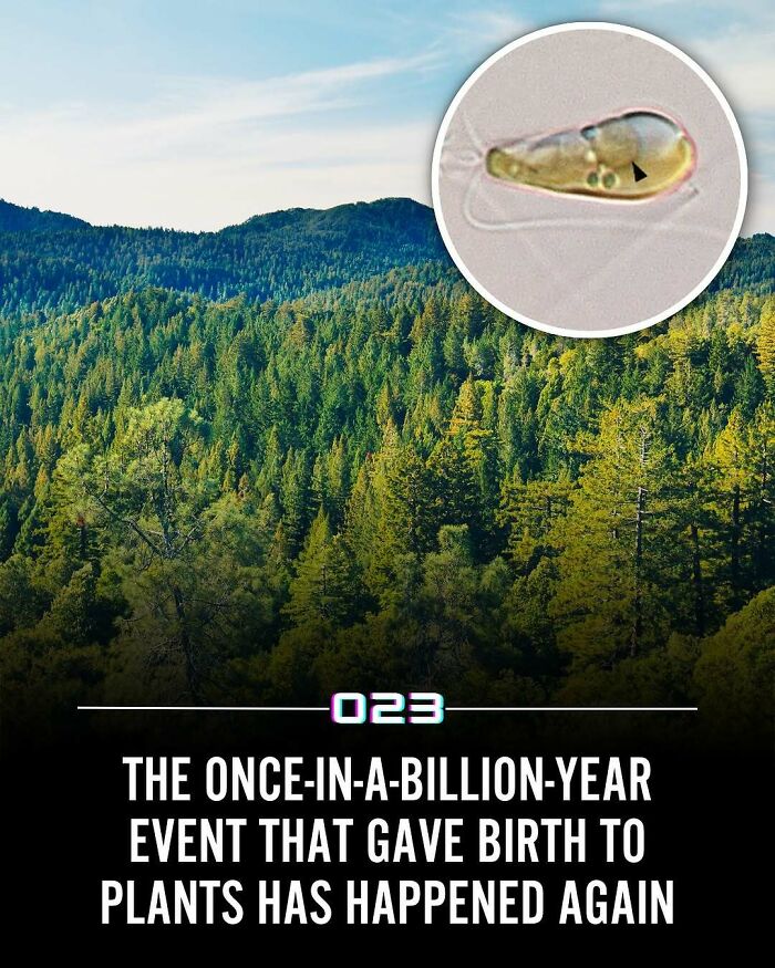 92 Wholesome Facts That’ll Totally Brighten Your Day