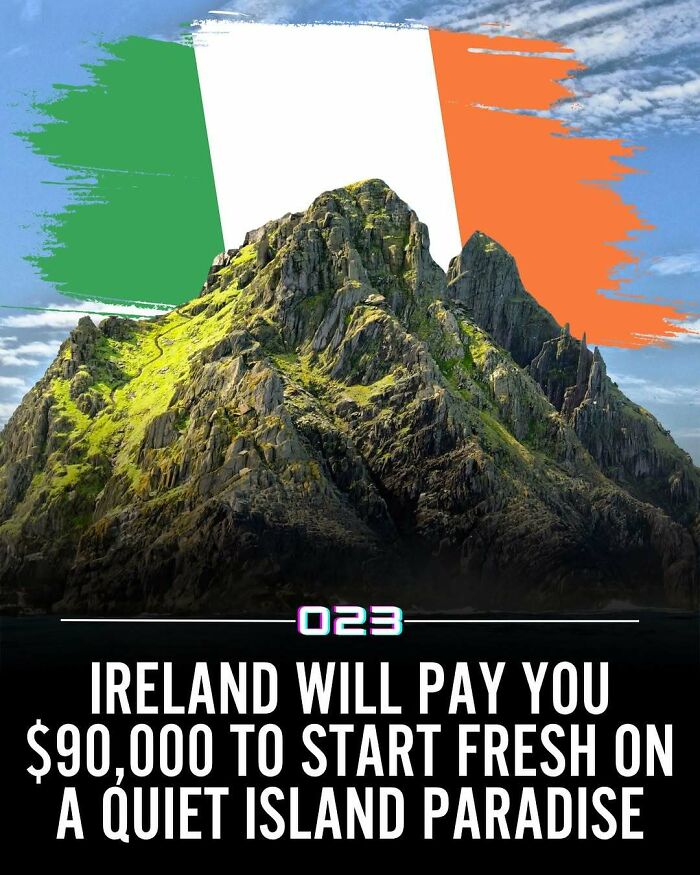 92 Wholesome Facts That’ll Totally Brighten Your Day