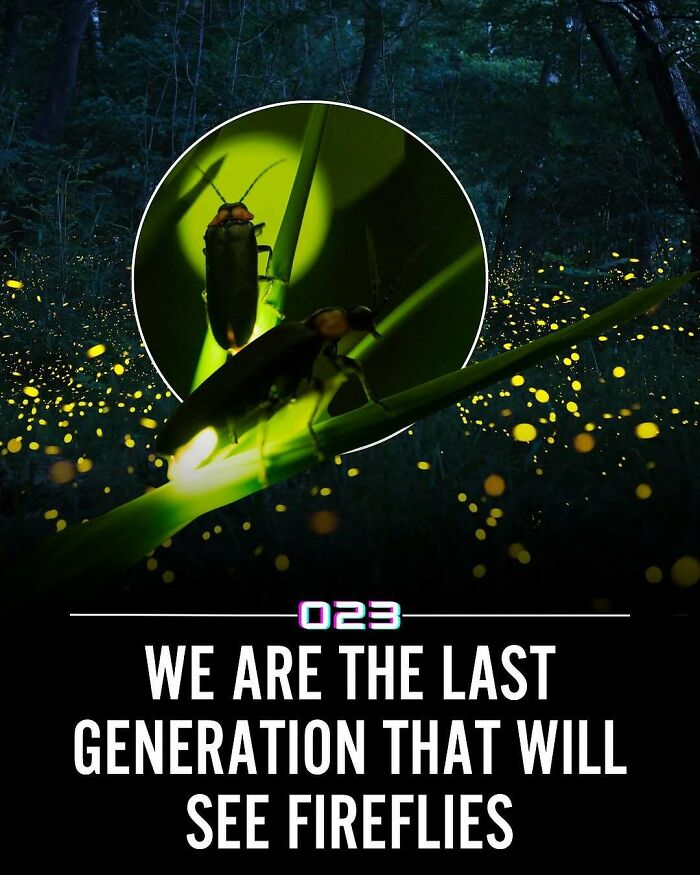 92 Wholesome Facts That’ll Totally Brighten Your Day