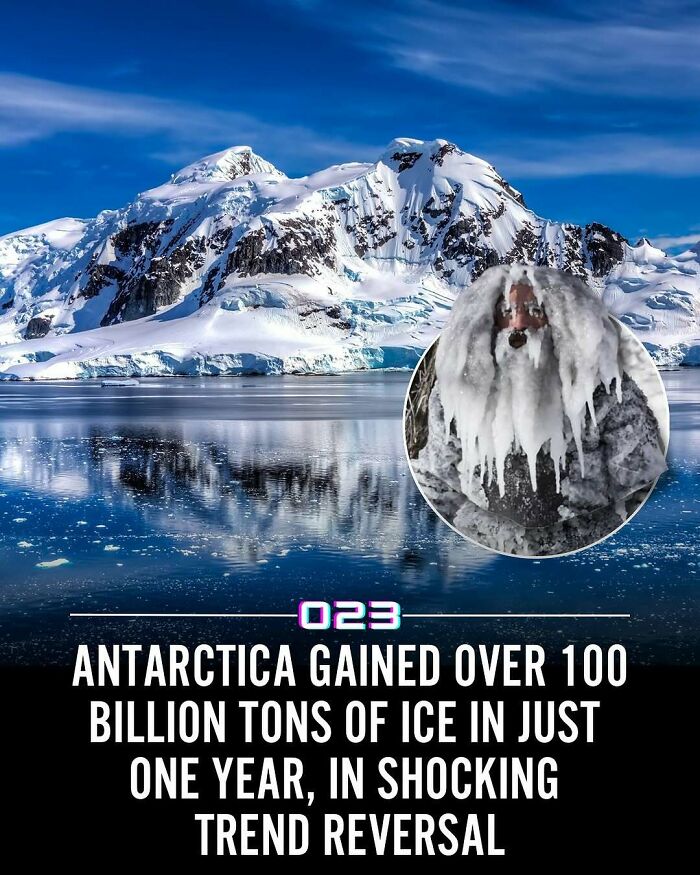 92 Wholesome Facts That’ll Totally Brighten Your Day