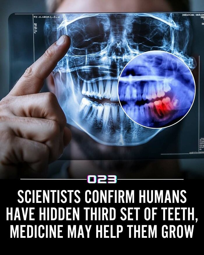 92 Wholesome Facts That’ll Totally Brighten Your Day