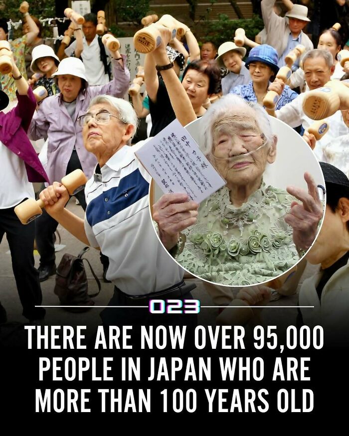 92 Wholesome Facts That’ll Totally Brighten Your Day