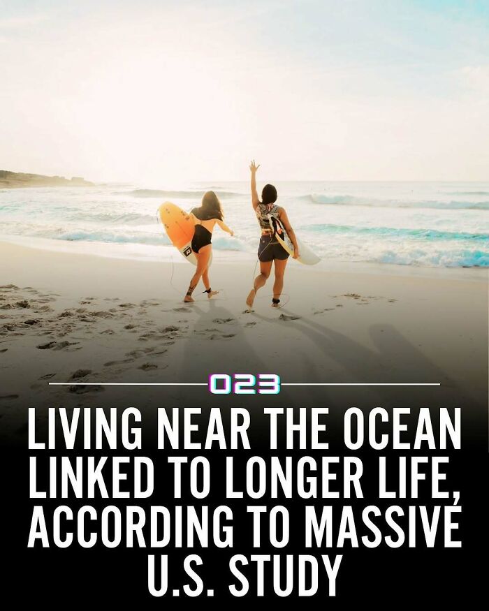 92 Wholesome Facts That’ll Totally Brighten Your Day