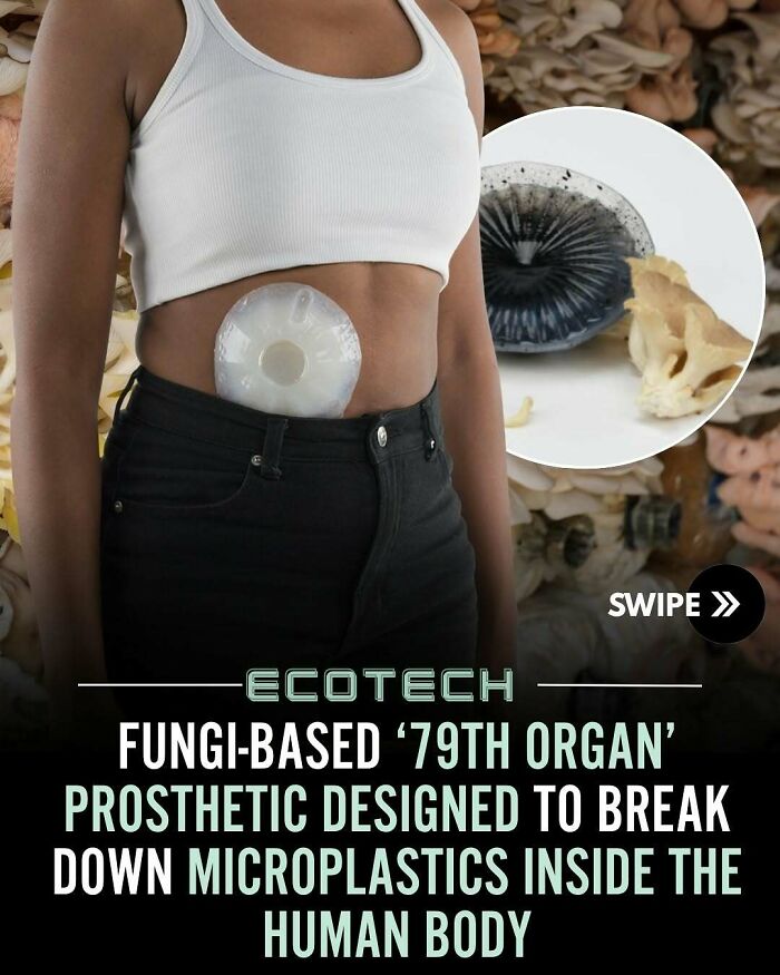 92 Wholesome Facts That’ll Totally Brighten Your Day