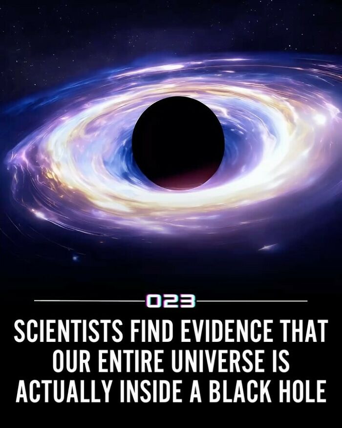 92 Wholesome Facts That’ll Totally Brighten Your Day