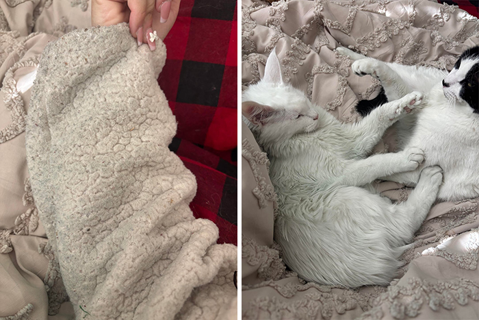 Why Is Everything Turning Green? Spoiler: It’s Because Husband’s Hiding A Juicy Secret