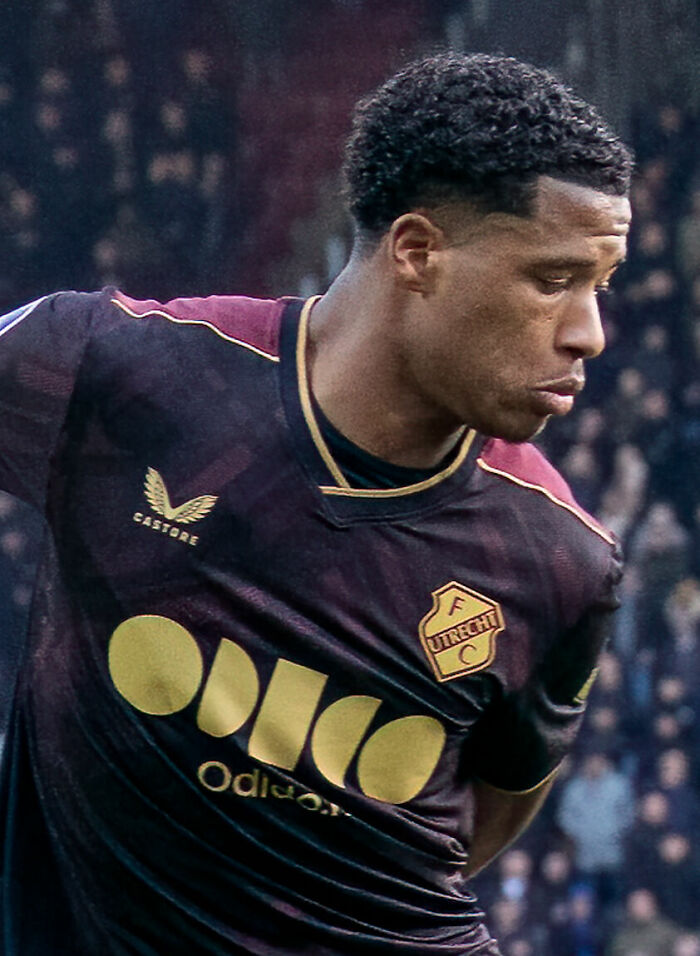 Soccer Star Ryan Flamingo, 23