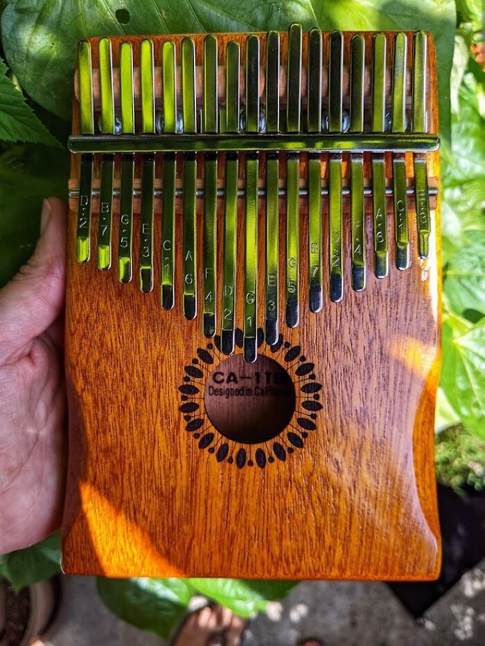 Fake Musical Genius Vibes With The Kalimba Thumb Piano That Sounds Like Magic