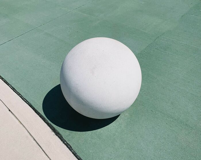 Wait, These Wild Facts Are Actually True? Let’s Dive In!