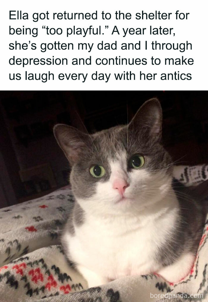 Family's Furry Sunshine