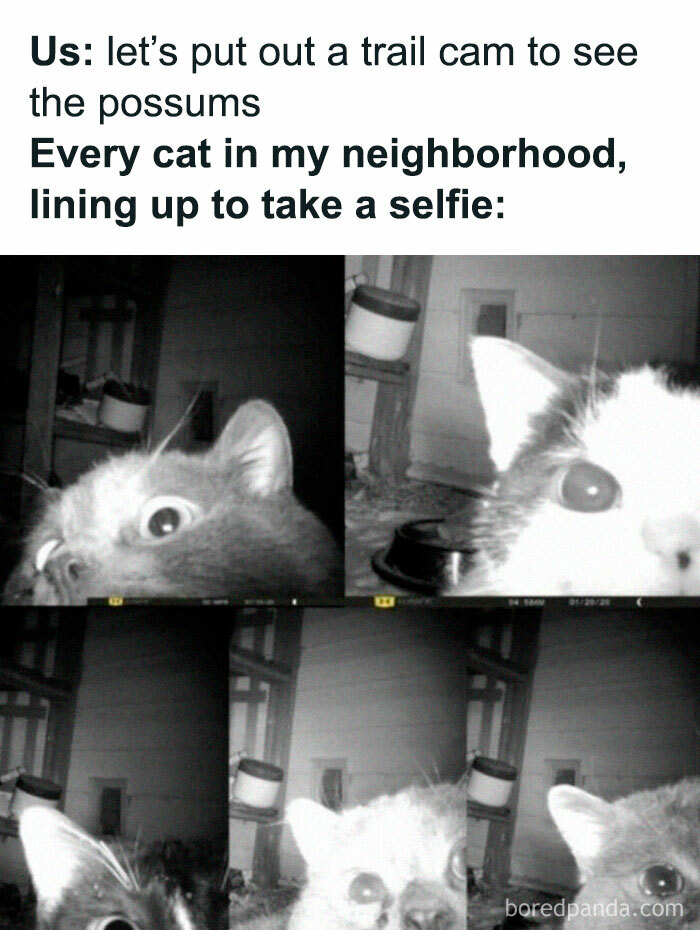 Getting Even Better Every Day