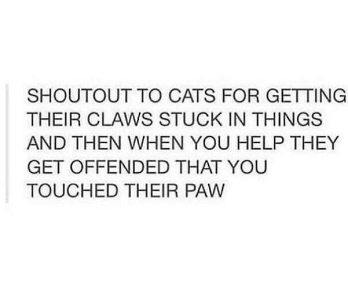 You Know This Is 100% True