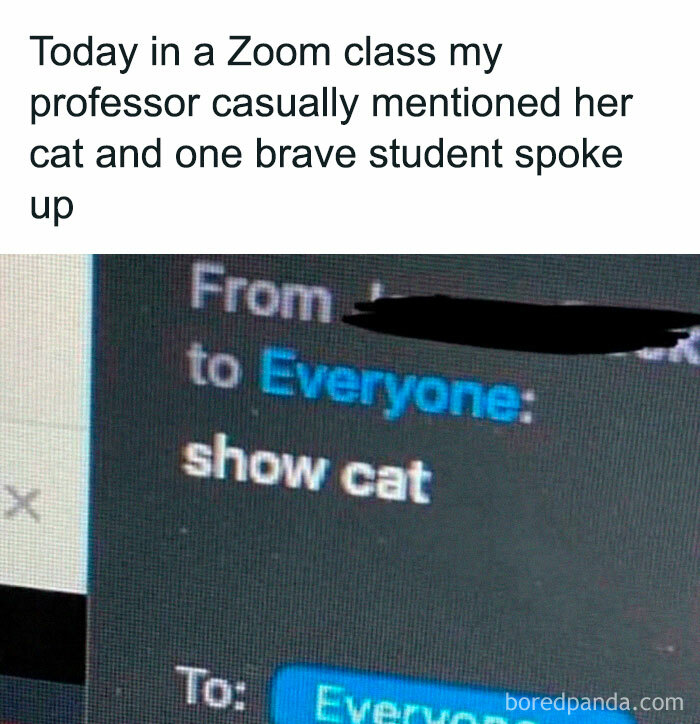 Wait, They Actually Ranked These Cat Memes?!