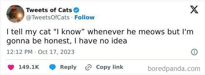 Wait, They Actually Ranked These Cat Memes?!